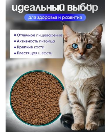 DCaDo Pets Urinary dry cat food with urolithiasis 3 kg - Buy Online on GoSupps.com