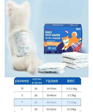 Belt for a male dog - Buy Online on GoSupps.com