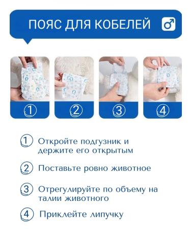 Belt for a male dog - Buy Online on GoSupps.com