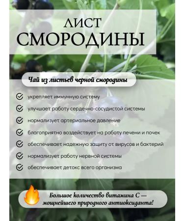 Altai Rost Black currant sheet 75 g - Buy Online on GoSupps.com