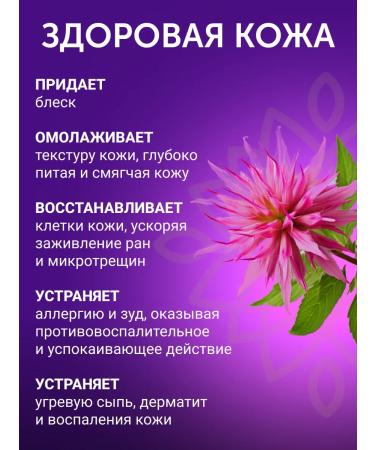 PROFI to you Oil Monaryda Extract CO2 - Buy Online on GoSupps.com