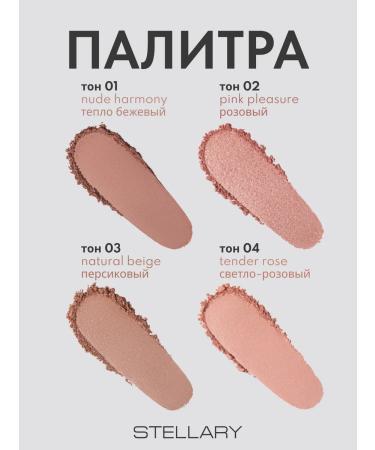 Stellary Blus blush blus tone 04 light pink 4g - Buy Online on GoSupps.com