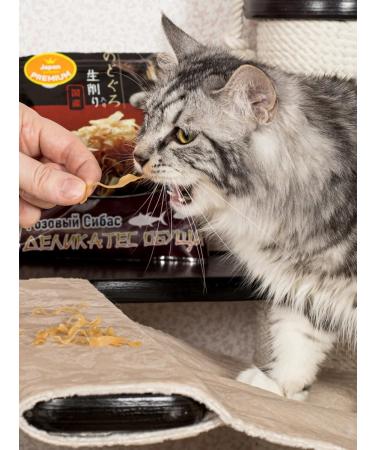 Japan Premium Pet Cotton with cats with pink sibas 3 eb 30 g - Buy Online on GoSupps.com