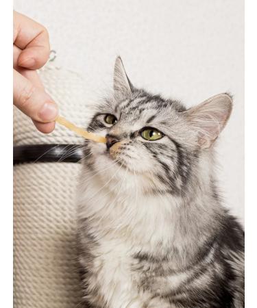 Japan Premium Pet Cotton with cats with pink sibas 3 eb 30 g - Buy Online on GoSupps.com