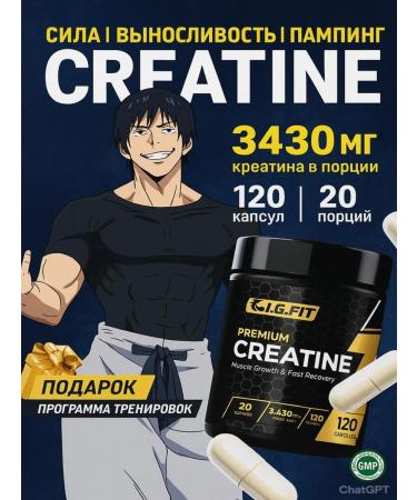 igfit Creatine monohydrate capsule 120