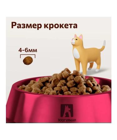 Zoogourman Dry Hair Beauty for cats Bird 0.35 kg 4 pcs - Buy Online on GoSupps.com