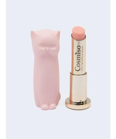 Cosmiso Moisturizing lipstone set - Buy Online on GoSupps.com