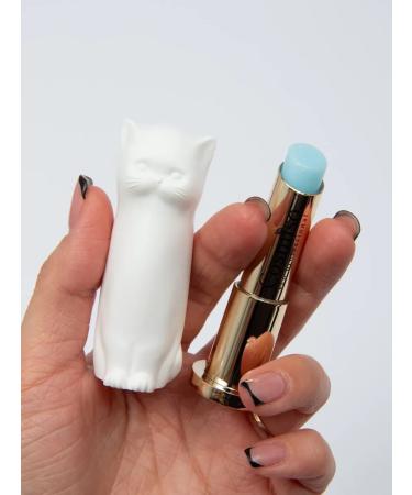 Cosmiso Moisturizing lipstone set - Buy Online on GoSupps.com