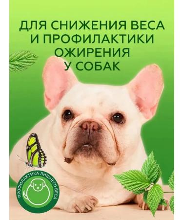 Siberian fiber Fiber for dogs "bark" 750 g 2 pcs - Buy Online on GoSupps.com