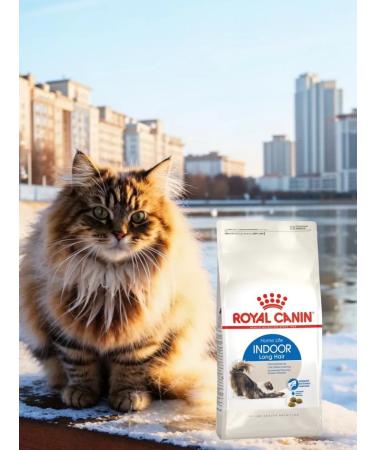 ROYAL CANIN Dry food Indoor Longhair for cats living at home 2 kg - Buy Online on GoSupps.com