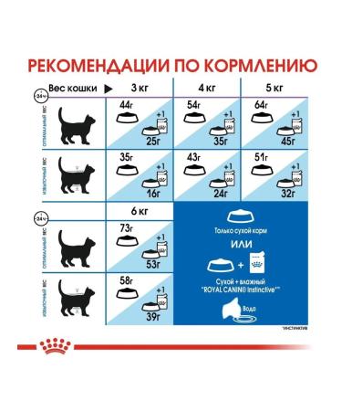 ROYAL CANIN Dry food Indoor Longhair for cats living at home 2 kg - Buy Online on GoSupps.com