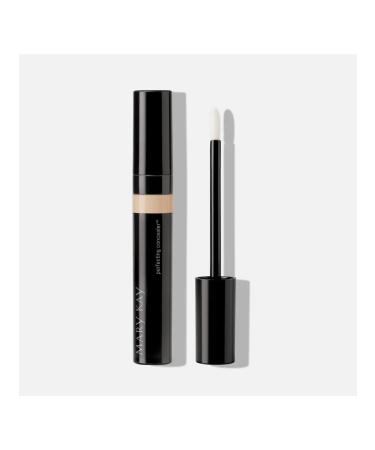 Mary Kay Masking tool Perfecting Concealeler is medium-light