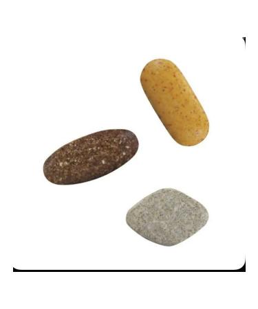 Double X Dubl X on 31 days from Amway - Buy Online on GoSupps.com