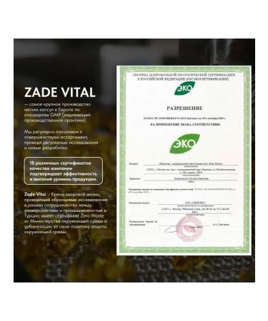 Zade Vital Combo performance to increase physical activity 120 cap ... - Buy Online on GoSupps.com