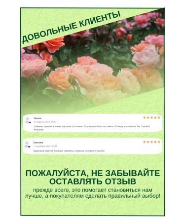 NAV Company Ivan - tea with chaga fermented sheet - Buy Online on GoSupps.com