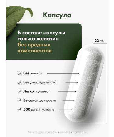 RESTARTBIO Magnesium Helat Taurat 120 capsules - Buy Online on GoSupps.com