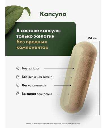 RESTARTBIO Healthy liver cleansing and recovery 120 capsules - Buy Online on GoSupps.com