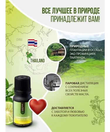 Silent Palm Nature Lemongrass air humidifier - Buy Online on GoSupps.com