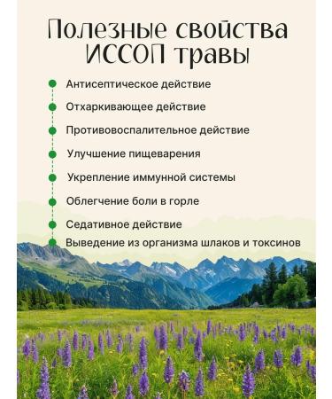 Ivan-tea workshop Vyshegorye Issop grass from cough medicinal - Buy Online on GoSupps.com