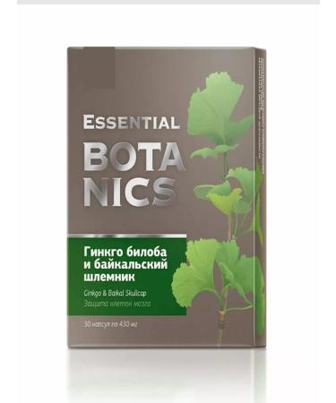 The power of Siberia is health Ginkgo biloba and Baikal helmet