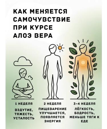 Ayurvati Aloe Vera 99% natural drinking juice 200 ml - Buy Online on GoSupps.com