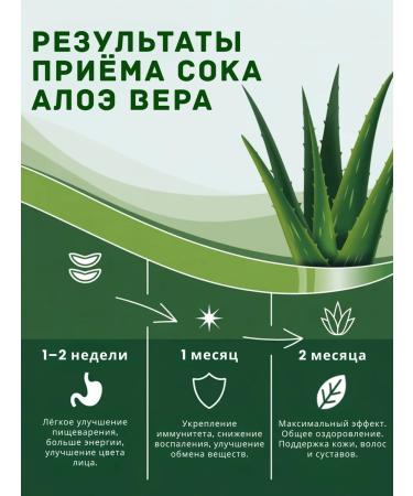 Ayurvati Aloe Vera 99% natural drinking juice 200 ml - Buy Online on GoSupps.com