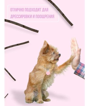 Ember Beef cut 1 kg treats for dogs and cats - Buy Online on GoSupps.com