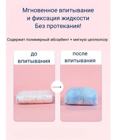 Belt for the male 20 pieces - Buy Online on GoSupps.com