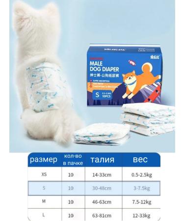 Belt for the male 20 pieces - Buy Online on GoSupps.com