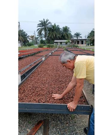 COCOA KRUTOV Cocoa grated natural melanger from 250 grams - Buy Online on GoSupps.com