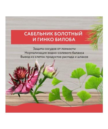 Research Laboratories Adipostress-Lolitical Red. Gel from cellulite - Buy Online on GoSupps.com