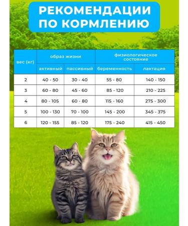 OUR BRAND Hypoallergenic food for cats with lamb and rice 2kg - Buy Online on GoSupps.com