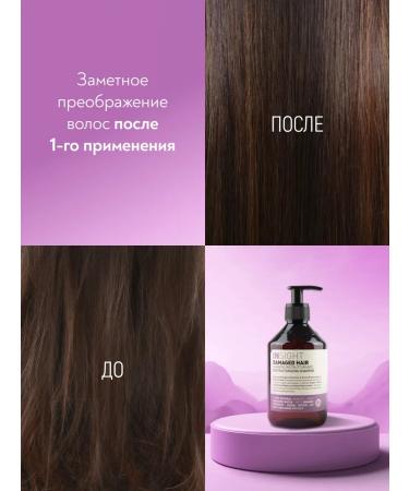 INsight Shampoo for damaged hair Professional Damaged 400 - Buy Online on GoSupps.com