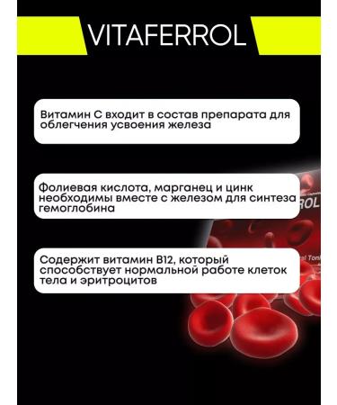 Evapharma Iron Fumarat + Vitamins and Minerals Complex Vitafer - Buy Online on GoSupps.com