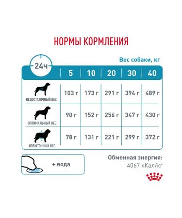 Royal Canin Veterinary diet for dogs with food allergies - Buy Online on GoSupps.com