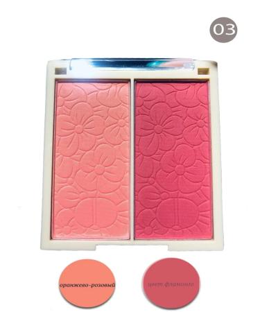 MILADIM Blush 2 color Blush 02 10g - Buy Online on GoSupps.com