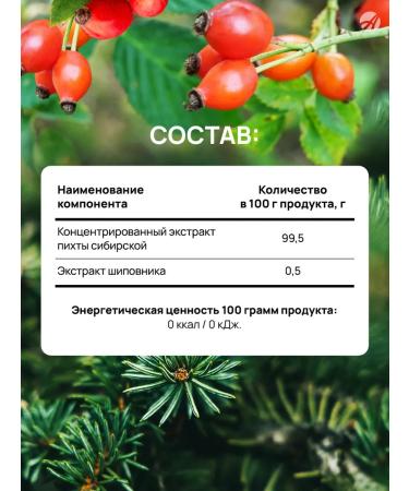 Art Life Coniferous drink with rosehip "Abitel" 250 ml - Buy Online on GoSupps.com