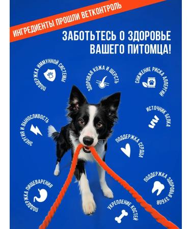 Ember Chicken chips 1 kg treats for dogs and cats - Buy Online on GoSupps.com