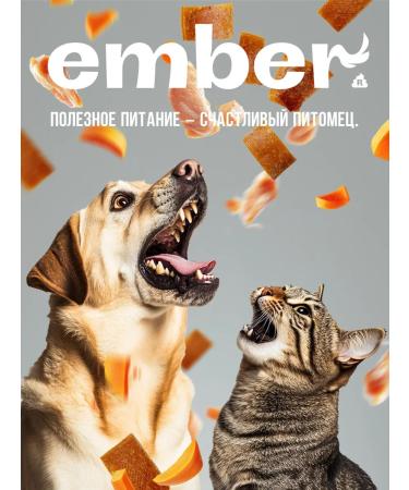 Ember Chicken chips 1 kg delicious dogs with pumpkin - Buy Online on GoSupps.com