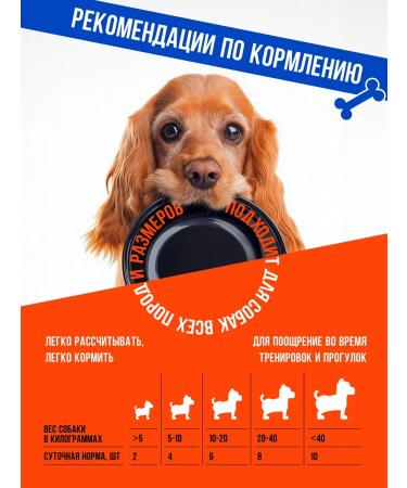 Ember Chicken chips with an apple 200g treats for dogs and cats - Buy Online on GoSupps.com