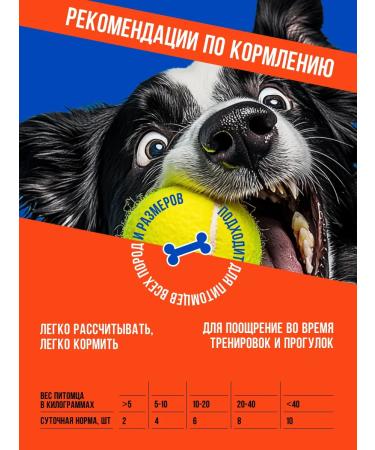 Ember Chicken meat chips 200 grams treats with pumpkin dogs - Buy Online on GoSupps.com