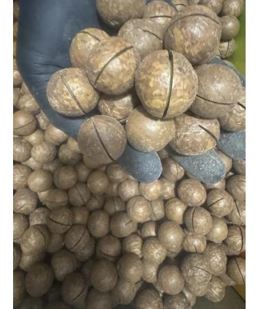 H&N ECO Macadamia 5a in the shell of large nuts 1000 grams with a key - Buy Online on GoSupps.com