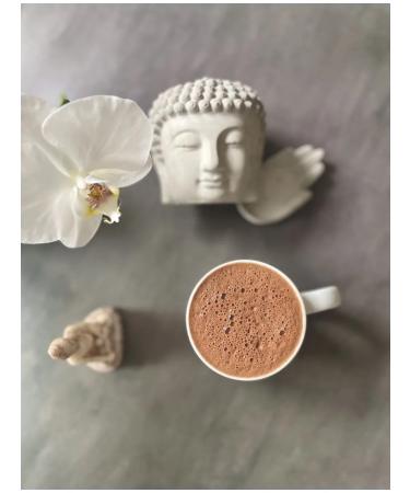 Green Cacao Cocoa non -alkalized 500 g Barry Callebaut - Buy Online on GoSupps.com