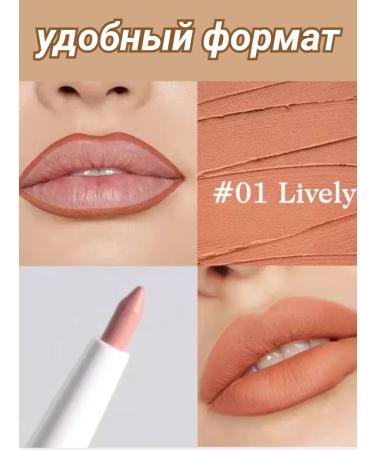 Pariwash Lip pencil cosmetic persistent tone 01 - Buy Online on GoSupps.com