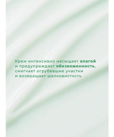 Real Barrier Cica Cica Clusing Cream with Centella - Buy Online on GoSupps.com