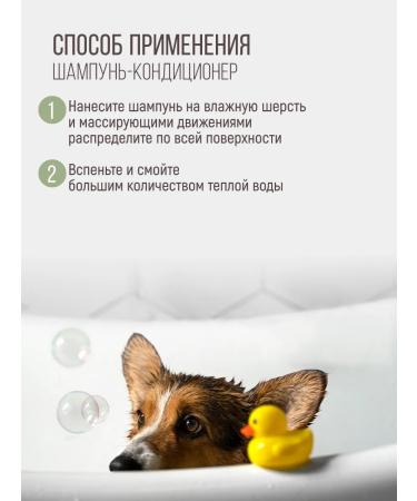 ECOLATIER Container shampoo lotion for cleaning the ears of dogs and cats - Buy Online on GoSupps.com