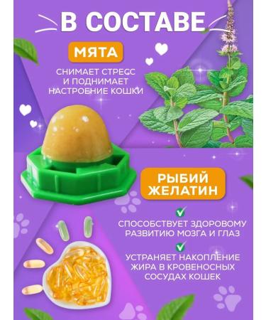 ZOO MARKET Lollice for cats 2 pcs - Buy Online on GoSupps.com