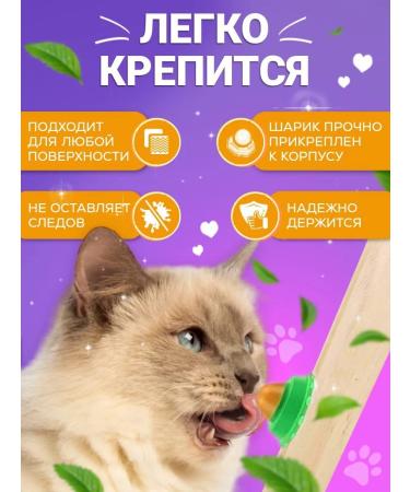 ZOO MARKET Lollice for cats 3 pcs - Buy Online on GoSupps.com