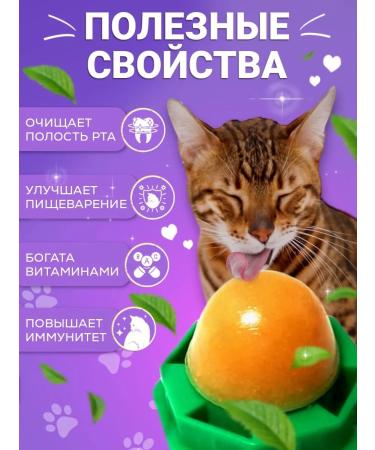 ZOO MARKET Lollice for cats 3 pcs - Buy Online on GoSupps.com