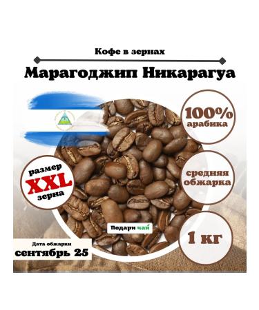 Give me some tea Grain coffee Maragogodzhip Nicaragua